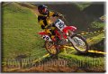 029 - Michele Turrin - DF MOTO 7